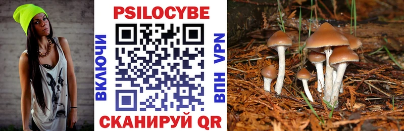 Галлюциногенные грибы Psilocybine cubensis  KRAKEN вход  Малмыж 